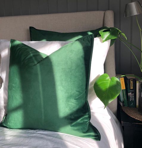 Velvet Cushion